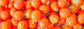 Cherry Tomatoes