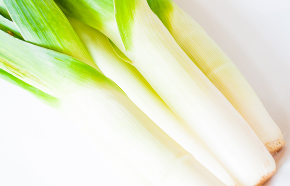 Leek